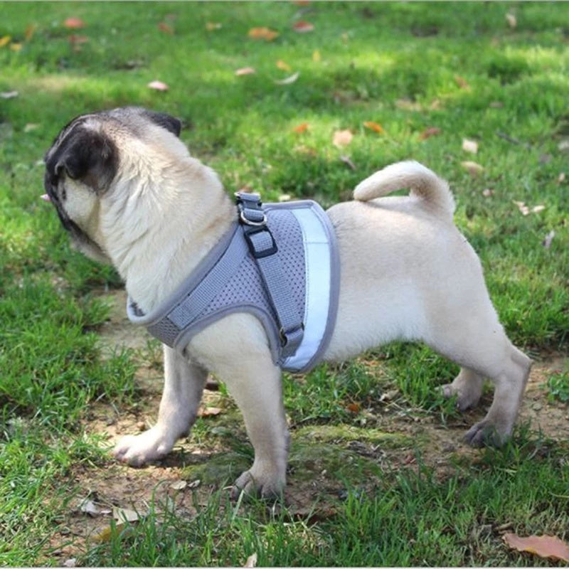 Reflective And Breathable Pet Harness